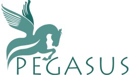 Pegasus Assets Reconstruction Co. Pvt. Ltd.